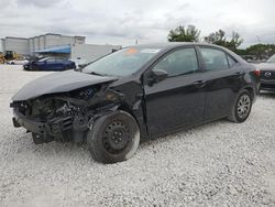 Salvage cars for sale at Opa Locka, FL auction: 2019 Toyota Corolla L