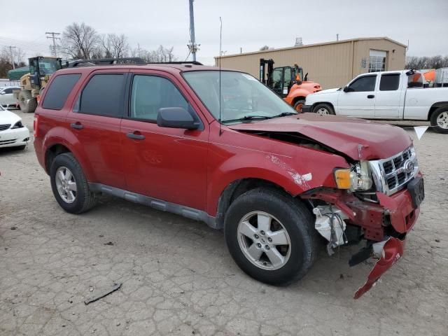 2010 Ford Escape XLT