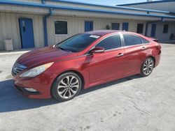 Salvage cars for sale at Fort Pierce, FL auction: 2014 Hyundai Sonata SE