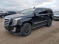 Salvage cars for sale from Copart Houston, TX: 2017 Cadillac Escalade Premium Luxury