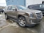 2016 Cadillac Escalade Luxury