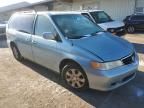 2004 Honda Odyssey EXL