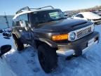 2007 Toyota FJ Cruiser