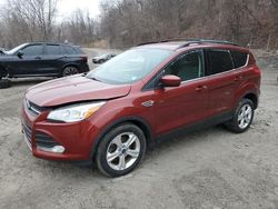 Ford Vehiculos salvage en venta: 2014 Ford Escape SE