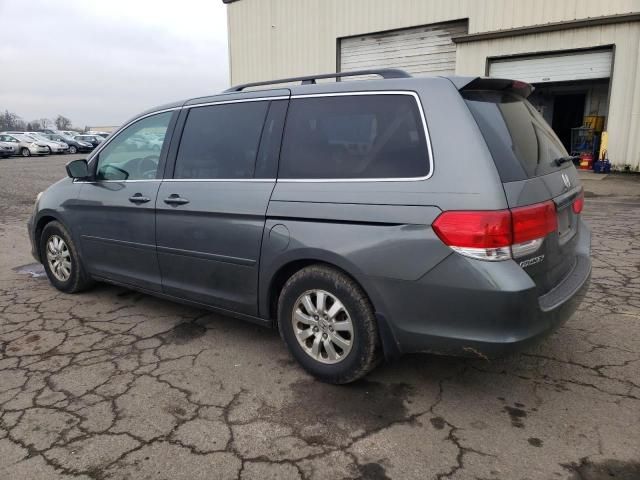 2008 Honda Odyssey EXL