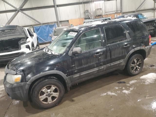 2007 Ford Escape XLT