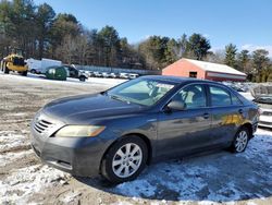 Toyota salvage cars for sale: 2008 Toyota Camry Hybrid