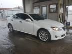 2010 Lexus IS 250