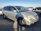 2008 Honda Odyssey EXL