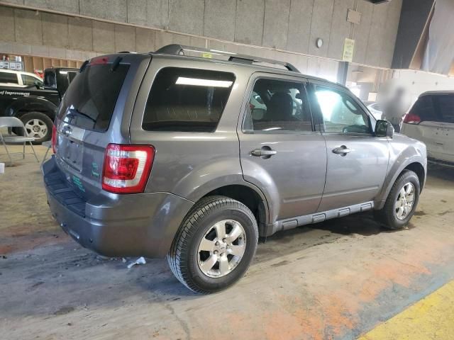 2012 Ford Escape Limited