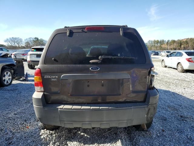 2007 Ford Escape XLT