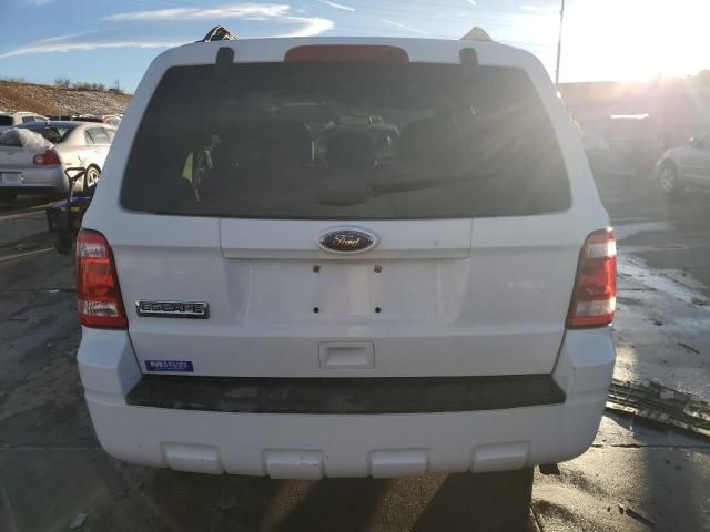 2011 Ford Escape XLT