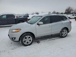 Hyundai Santa fe salvage cars for sale: 2010 Hyundai Santa FE GLS