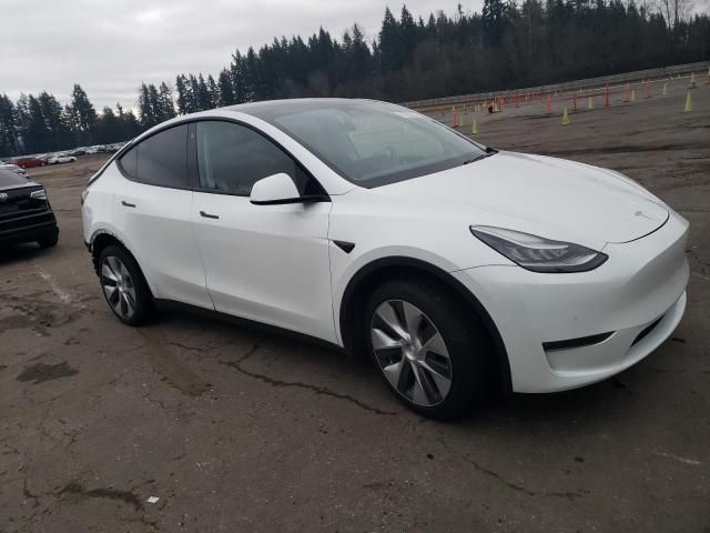 2020 Tesla Model Y