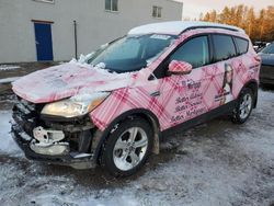 Salvage SUVs for sale at auction: 2013 Ford Escape SE