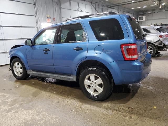 2009 Ford Escape XLT