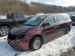 Honda Vehiculos salvage en venta: 2016 Honda Odyssey EXL