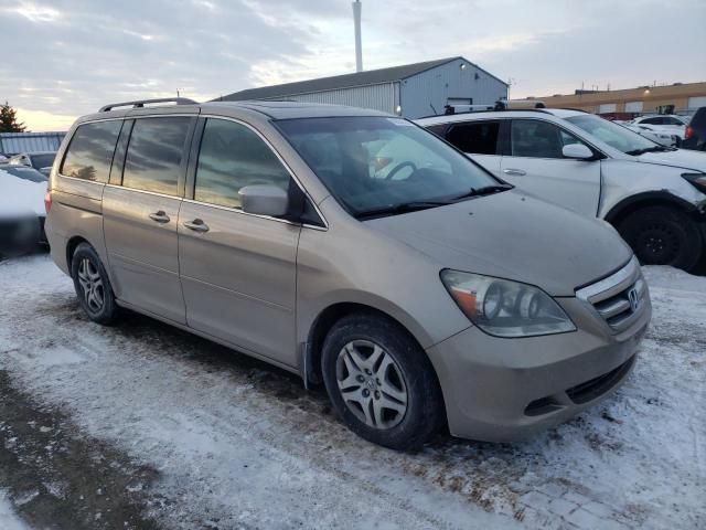 2005 Honda Odyssey EXL