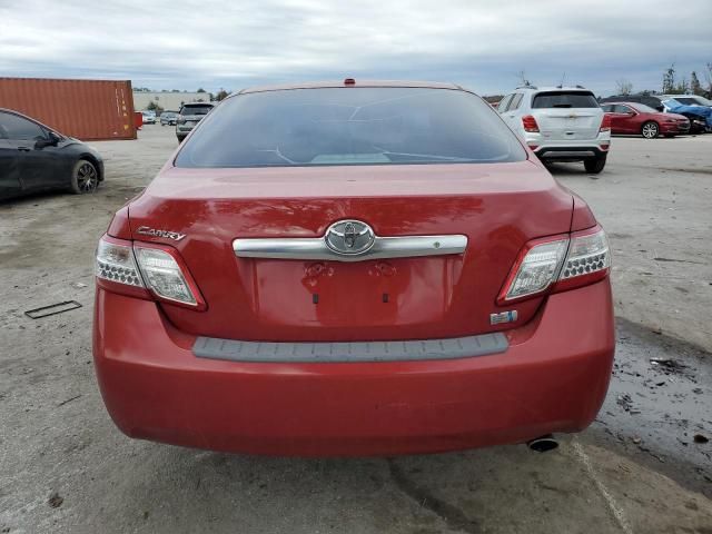 2010 Toyota Camry Hybrid