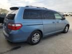 2005 Honda Odyssey EXL