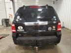 2010 Ford Escape Limited