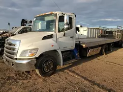 Salvage trucks for sale at Phoenix, AZ auction: 2012 Hino 258 268