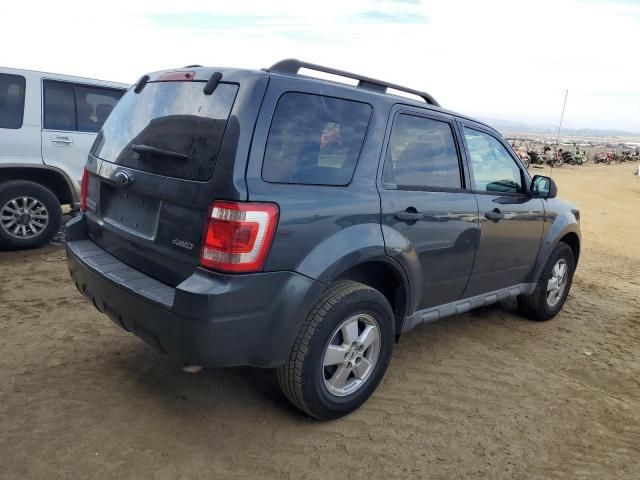 2009 Ford Escape XLT