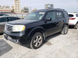 Salvage cars for sale at New Orleans, LA auction: 2014 Honda Pilot EXL