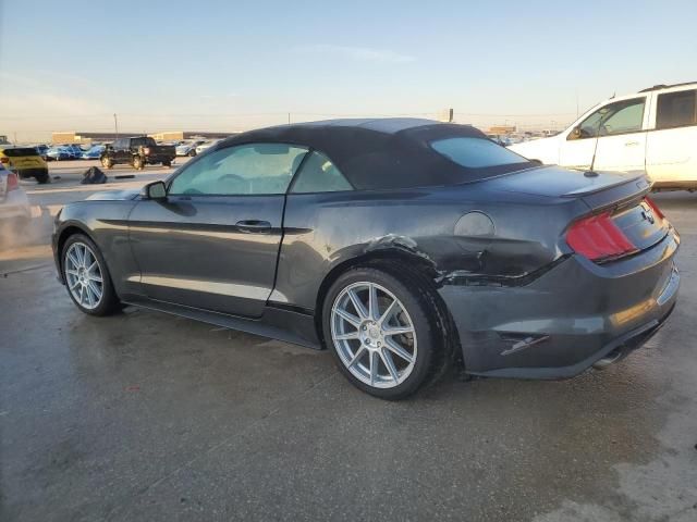 2019 Ford Mustang