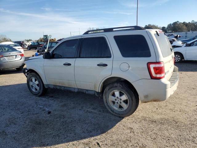 2010 Ford Escape XLS