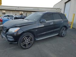 Salvage cars for sale at Martinez, CA auction: 2012 Mercedes-Benz ML 350 4matic