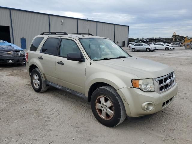 2012 Ford Escape XLT