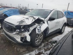 Salvage cars for sale at Woodhaven, MI auction: 2023 Ford Escape Active