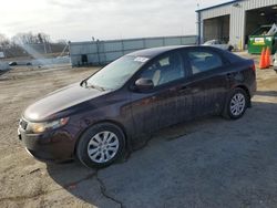 KIA Vehiculos salvage en venta: 2011 KIA Forte EX