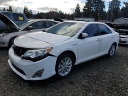 Salvage cars for sale from Copart Graham, WA: 2012 Toyota Camry Hybrid