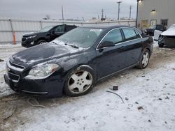 2010 Chevrolet Malibu 2LT en venta en Appleton, WI