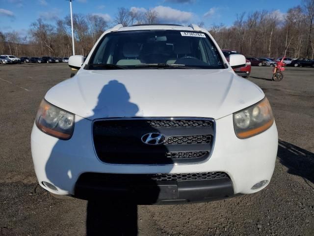 2009 Hyundai Santa FE SE