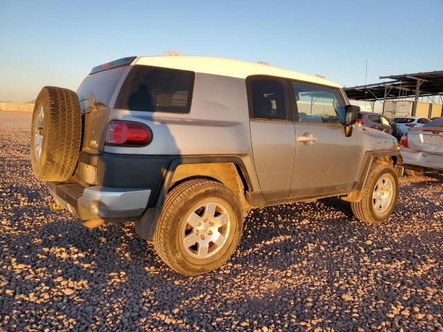 2010 Toyota FJ Cruiser