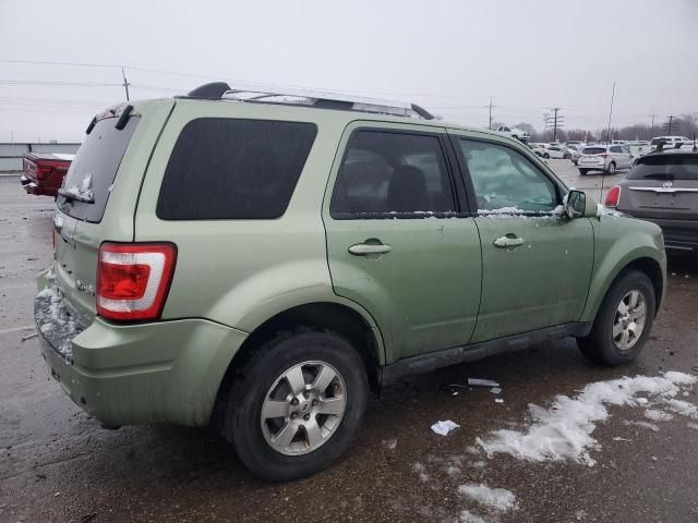 2010 Ford Escape Hybrid