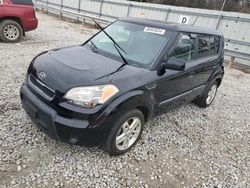 Salvage cars for sale at Memphis, TN auction: 2010 KIA Soul +