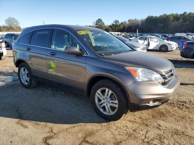 2010 Honda CR-V EXL