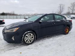 Hyundai Elantra salvage cars for sale: 2020 Hyundai Elantra SE