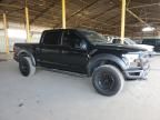 2017 Ford F150 Raptor