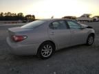 2004 Lexus ES 330