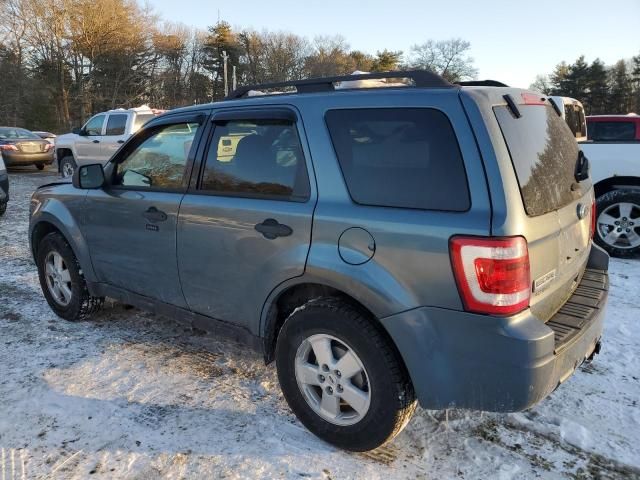 2010 Ford Escape XLT