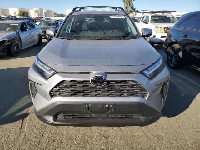 2023 Toyota Rav4 XLE