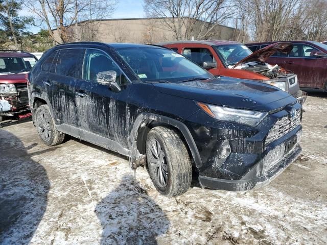 2022 Toyota Rav4 Limited