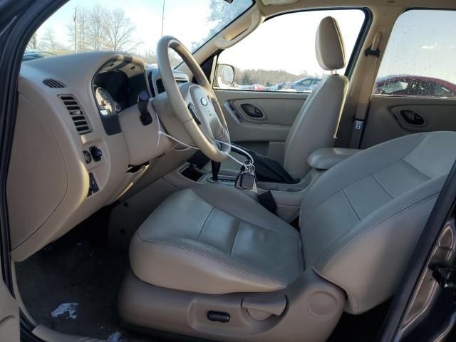 2007 Ford Escape XLT