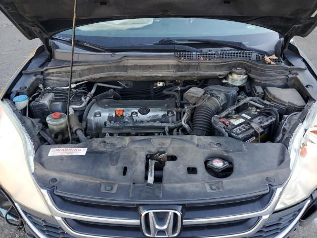 2010 Honda CR-V EXL