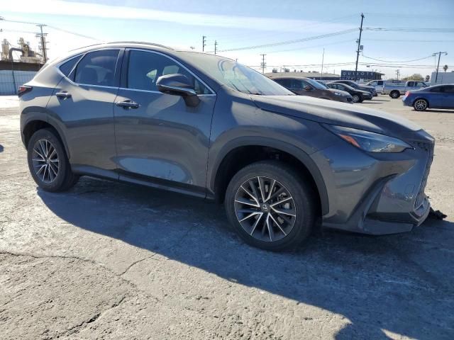 2024 Lexus NX 350 Premium